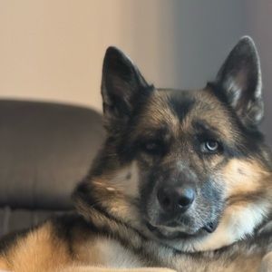 Meet your Posher, Heattt